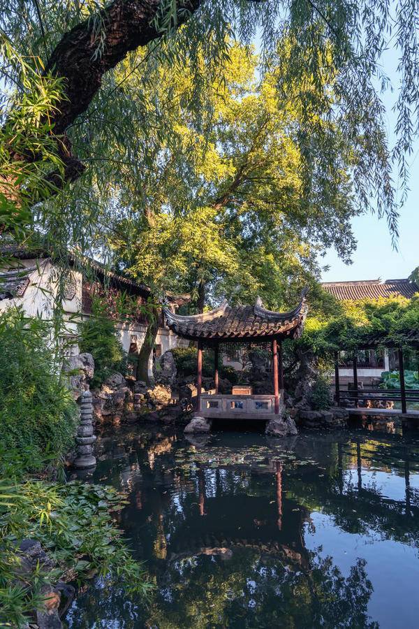姑苏古园 夏影里的宁静与风华